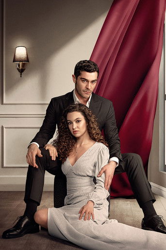 Ночная сказка