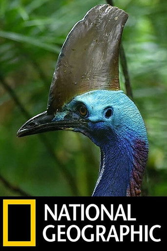 Птица-динозавр