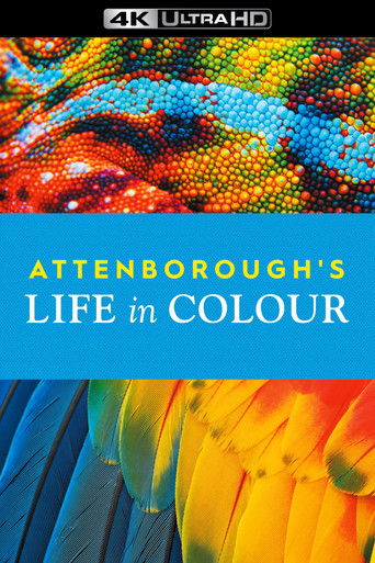 Жизнь в цвете с Дэвидом Аттенборо
