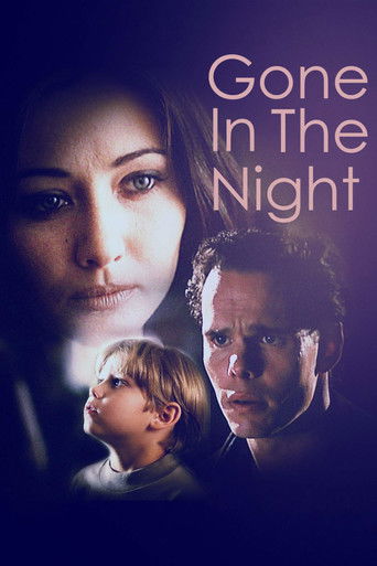 Пропавшая в ночи