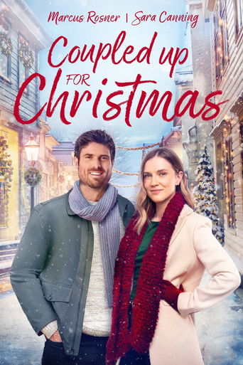 Пара на Рождество