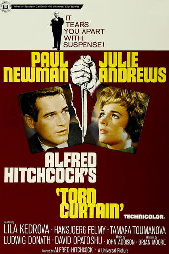 Разорванный занавес