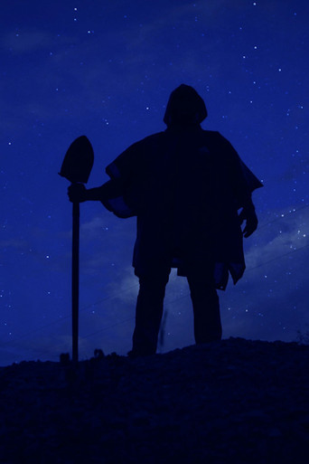 Таинственный лес