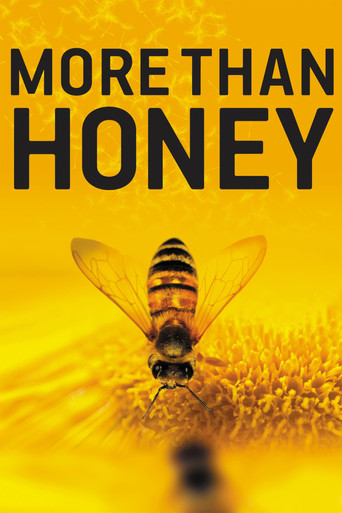 Больше чем мёд
