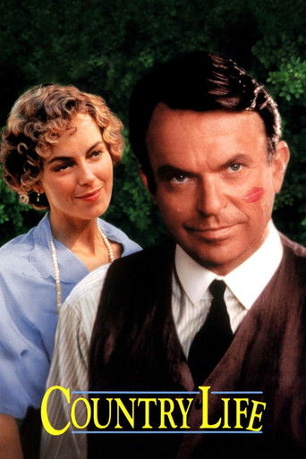 Провинциальный роман