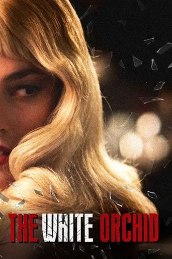 Белая орхидея