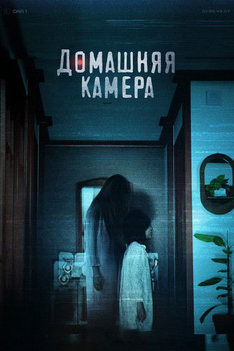 Домашняя камера