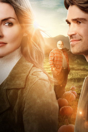 Всё из тыквы