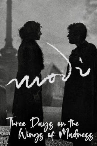 Моди: Три дня на крыльях безумия