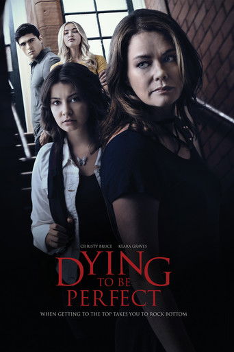 Цена совершенства