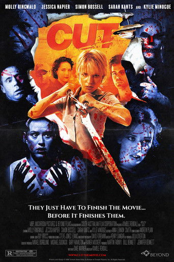 Режиссёрская версия