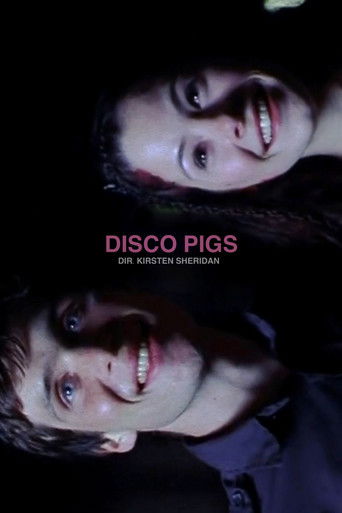 Дискосвиньи