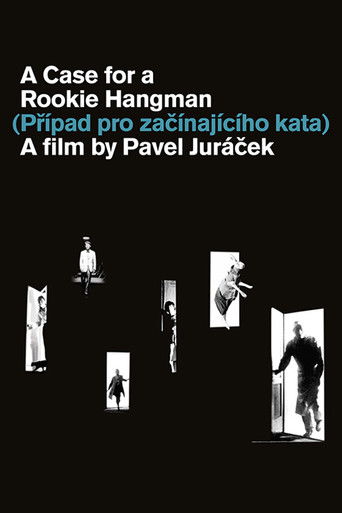 Дело для начинающего палача