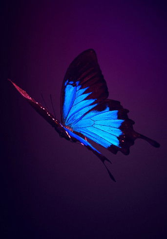 Слишком стар, чтобы умереть молодым