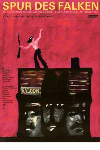 След Сокола