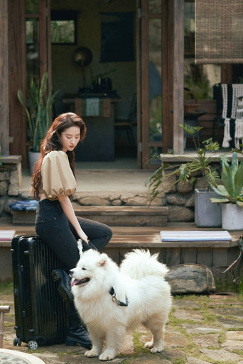 Ветреный дворец