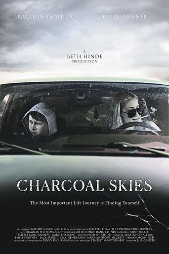 Угольные небеса