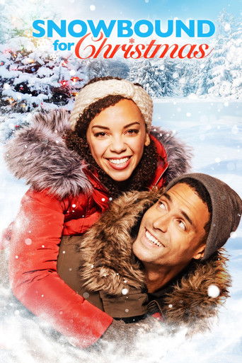 Заснеженное Рождество