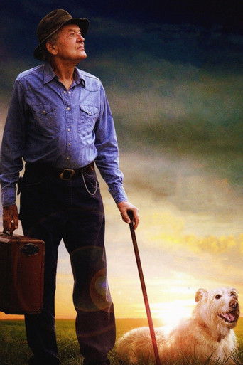 Это вечернее солнце