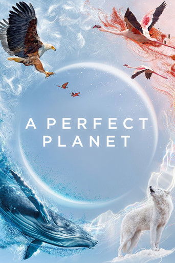 Идеальная планета