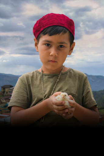 Приключения маленького Бахи