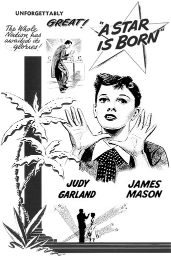 Звезда родилась