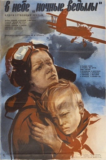 В небе «ночные ведьмы»