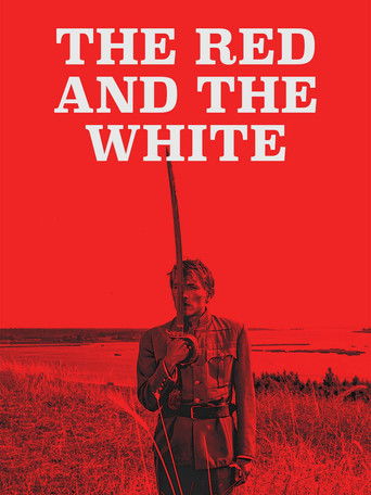 Звезды и солдаты