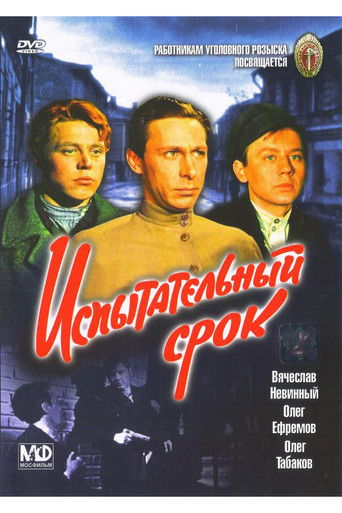 Испытательный срок