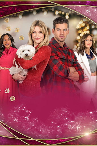 Похищение: щенок на праздники