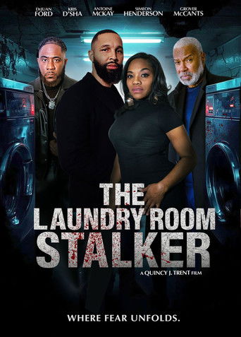 Сталкер из прачечной