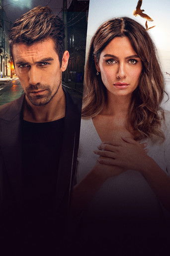 Чёрно-белая любовь