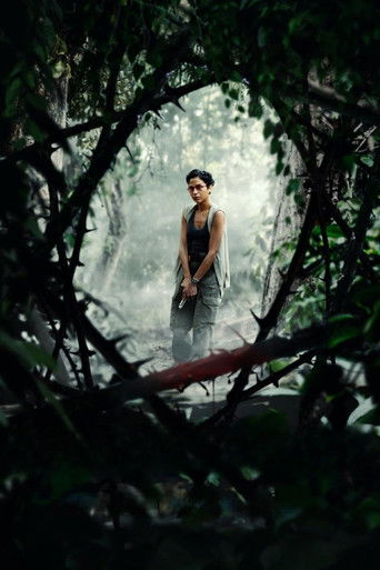 Безграничный туман