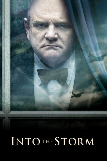 Навстречу шторму	