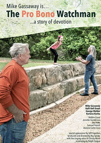 Добровольный наблюдатель