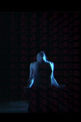 Двоичный Самурай