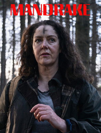 Мандрагора