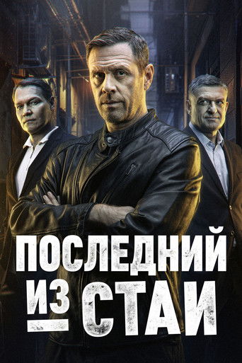 Последний из стаи