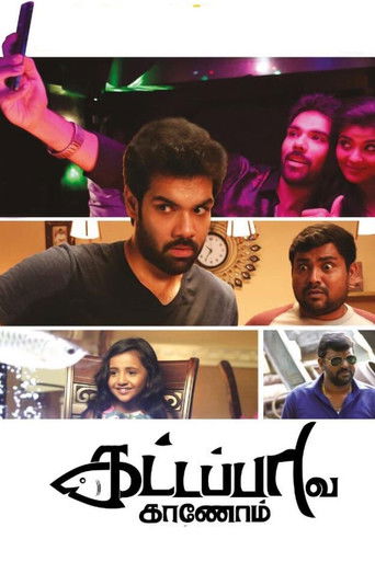 В поисках золотой рыбки