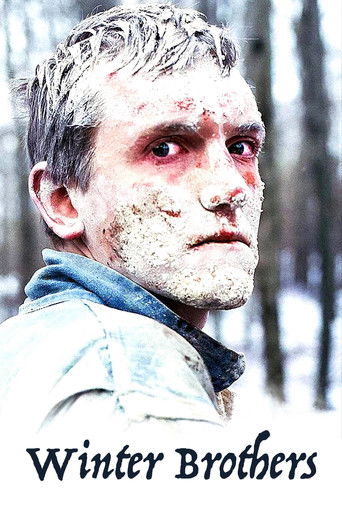 Зимние братья