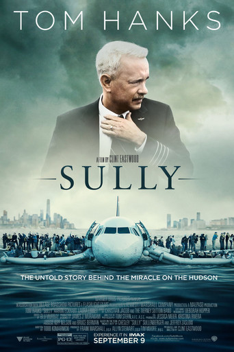 Чудо на Гудзоне