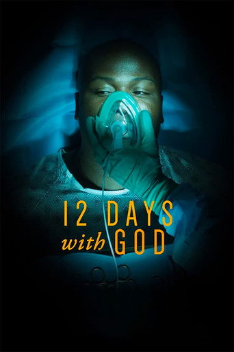 12 дней с Господом