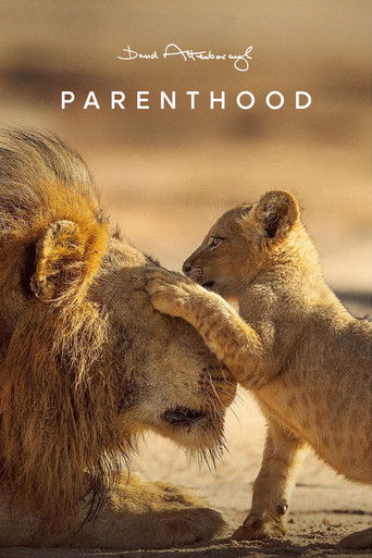 Родительство