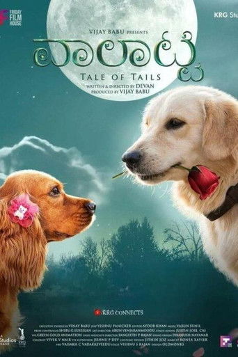 Собачий побег