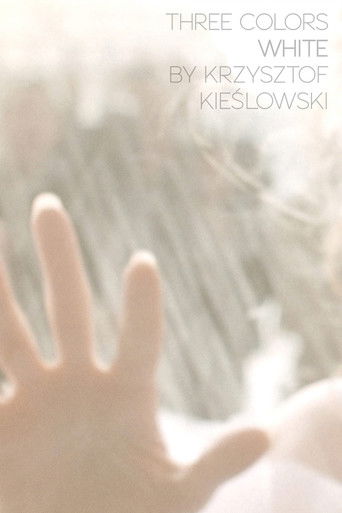 Три цвета: Белый