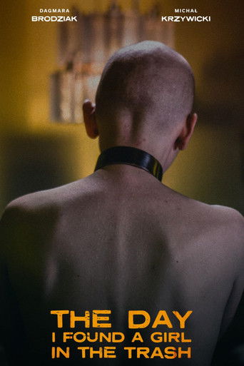 День, когда я нашёл девушку в мусорном баке