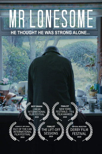 Мистер Одиночка