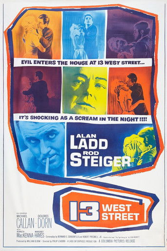 Западная улица, 13