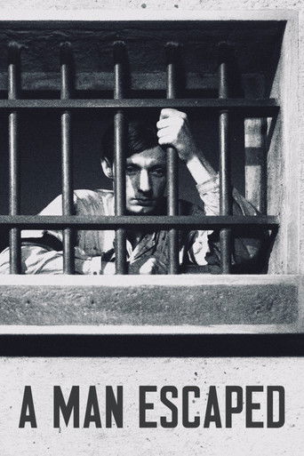 Приговоренный к смерти бежал, или Дух веет, где хочет