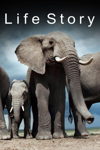 История жизни